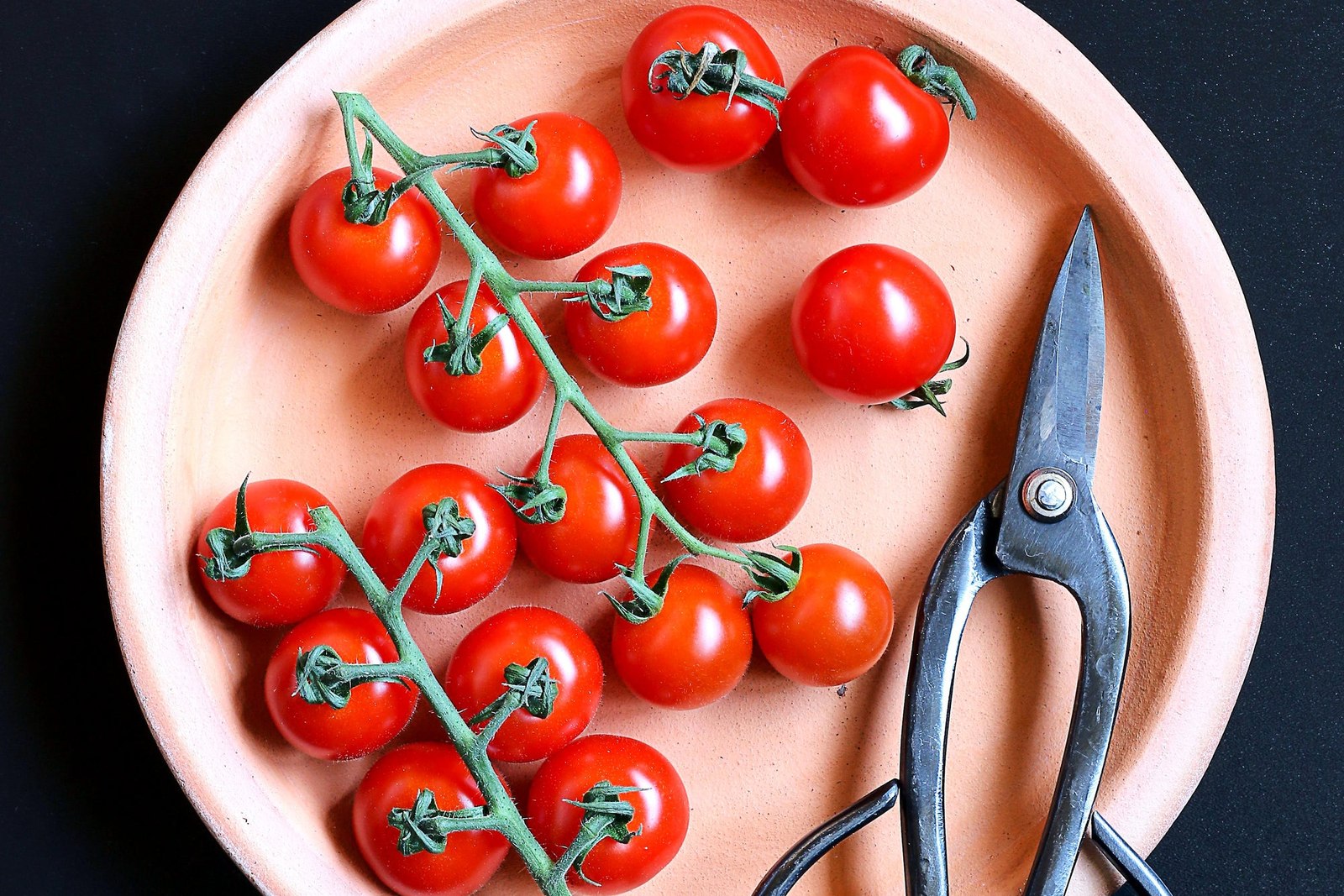 Cherry Tomatoes Plated With Kitchen Scissors